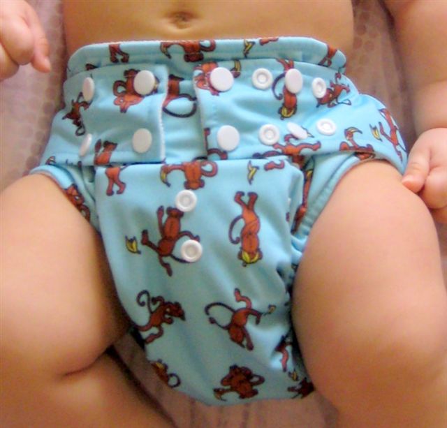 Cloth Baby Diapers