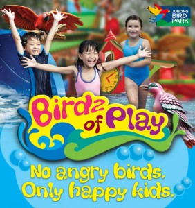 birdz-of-play