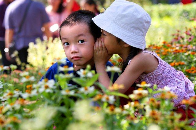 sentosa-flowers-1